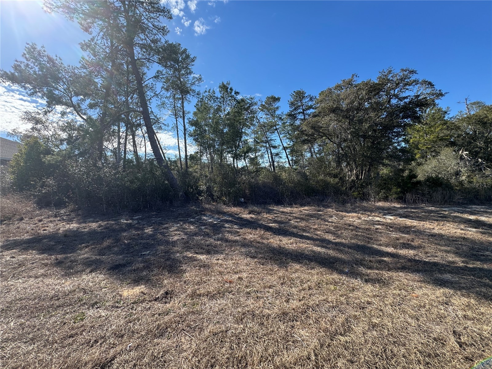 0000 SW 170th Loop Ocala FL 34473 G5107996 image3