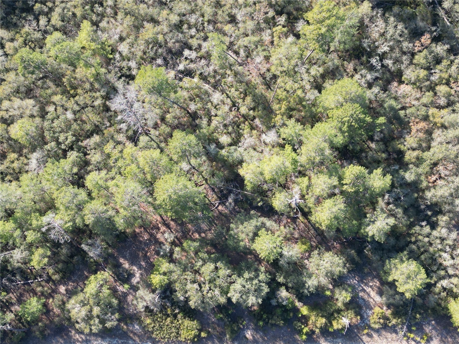 0000 SW 170th Loop Ocala FL 34473 G5107996 image6