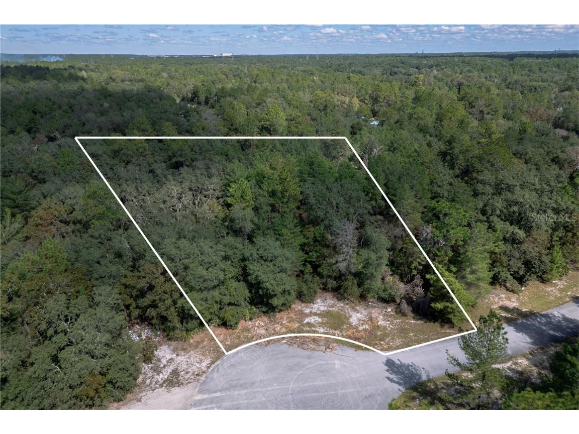 0000 SW 174 Street Ocala FL 34473 S5134238 image1