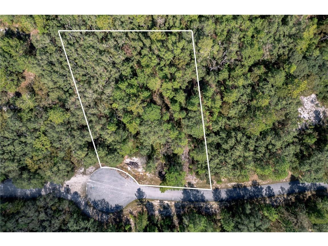 0000 SW 174 Street Ocala FL 34473 S5134238 image2