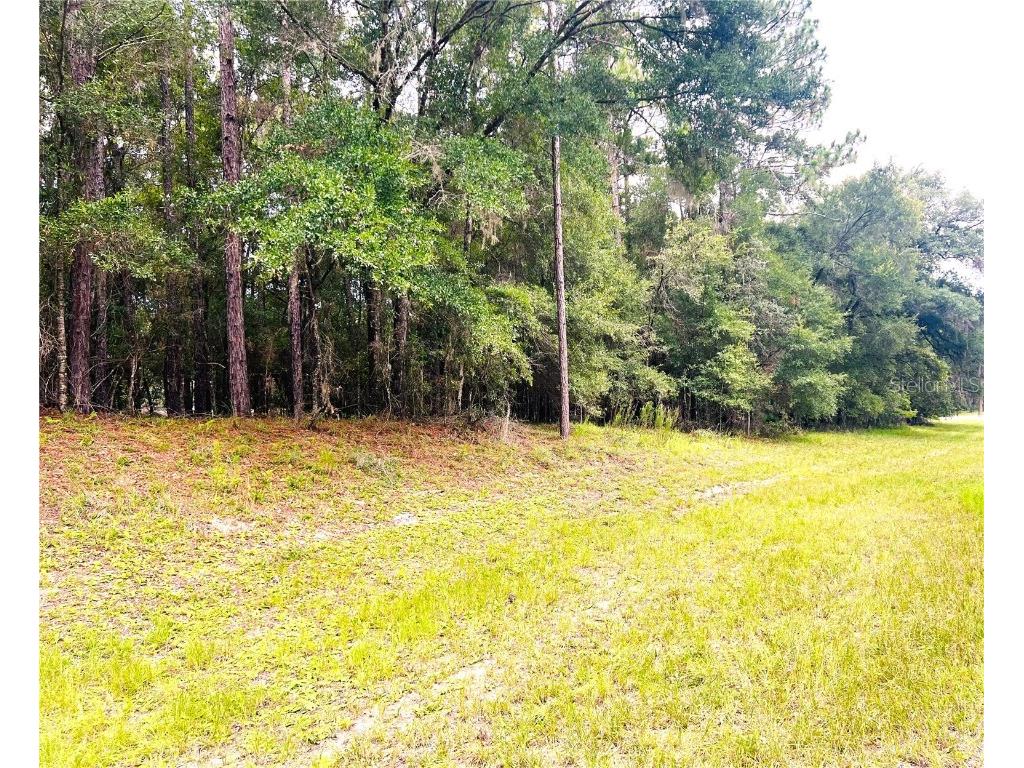 0000 SW 185 Avenue Road Road Dunnellon FL 34432 OM706964 image1