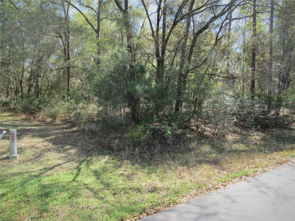 0000 Sw 188 Circle Dunnellon FL 34432 OM635431 image1