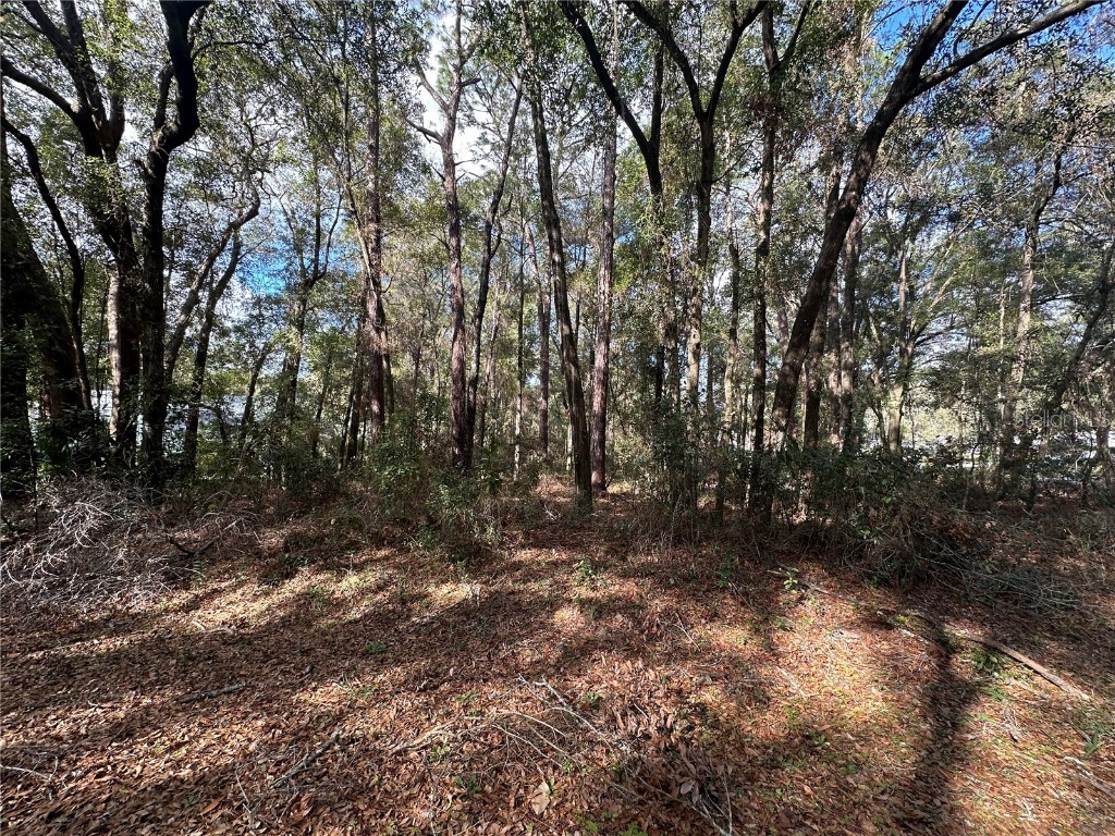 0000 Sw 189th Ct. Dunnellon Fl Dunnellon FL 34432 - RAINBOW RIVER PRIVATE PARK OM695149 image1