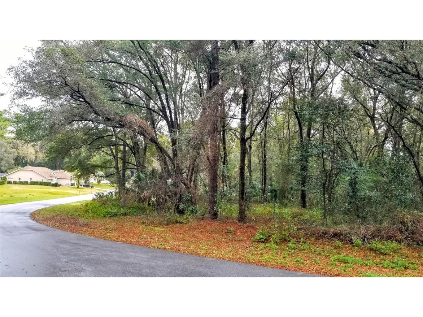 0000 SW 190 Circle Dunnellon FL 34432 OM672337 image1