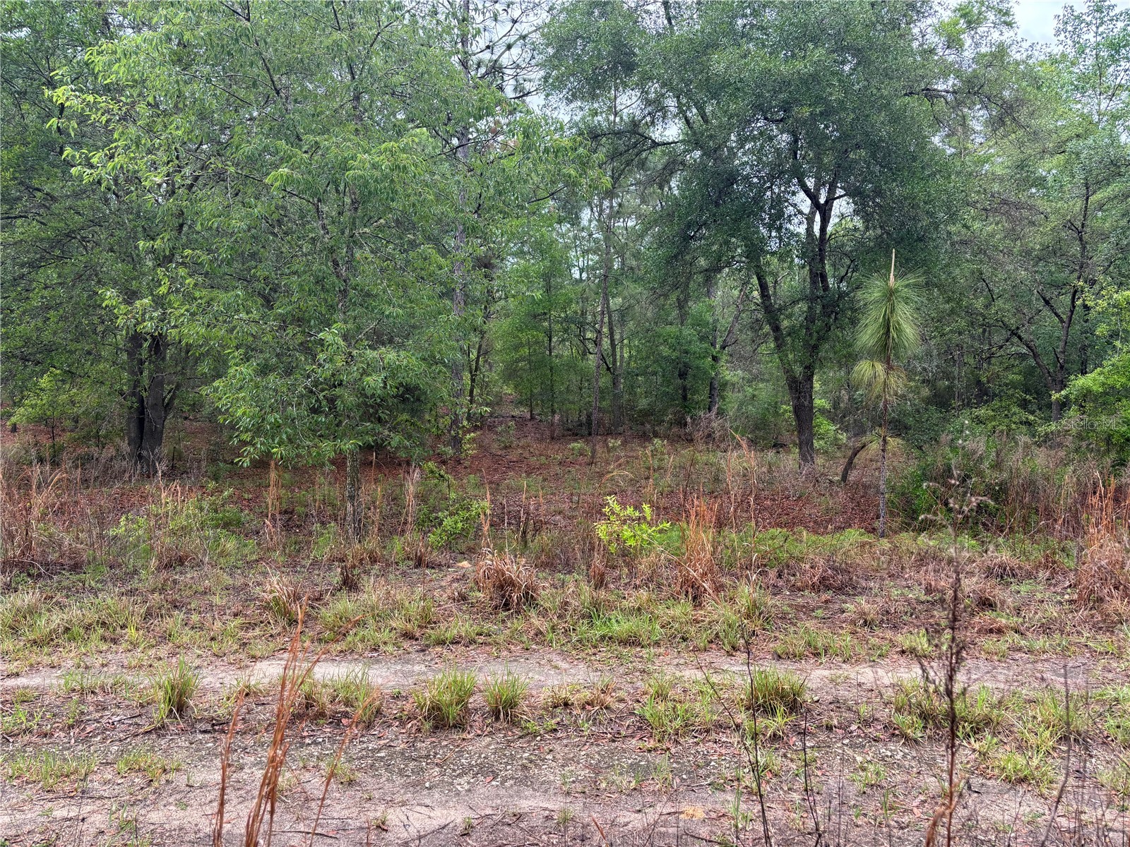 0000 SW 19th Place Ocala FL 34481 OM722505 image2