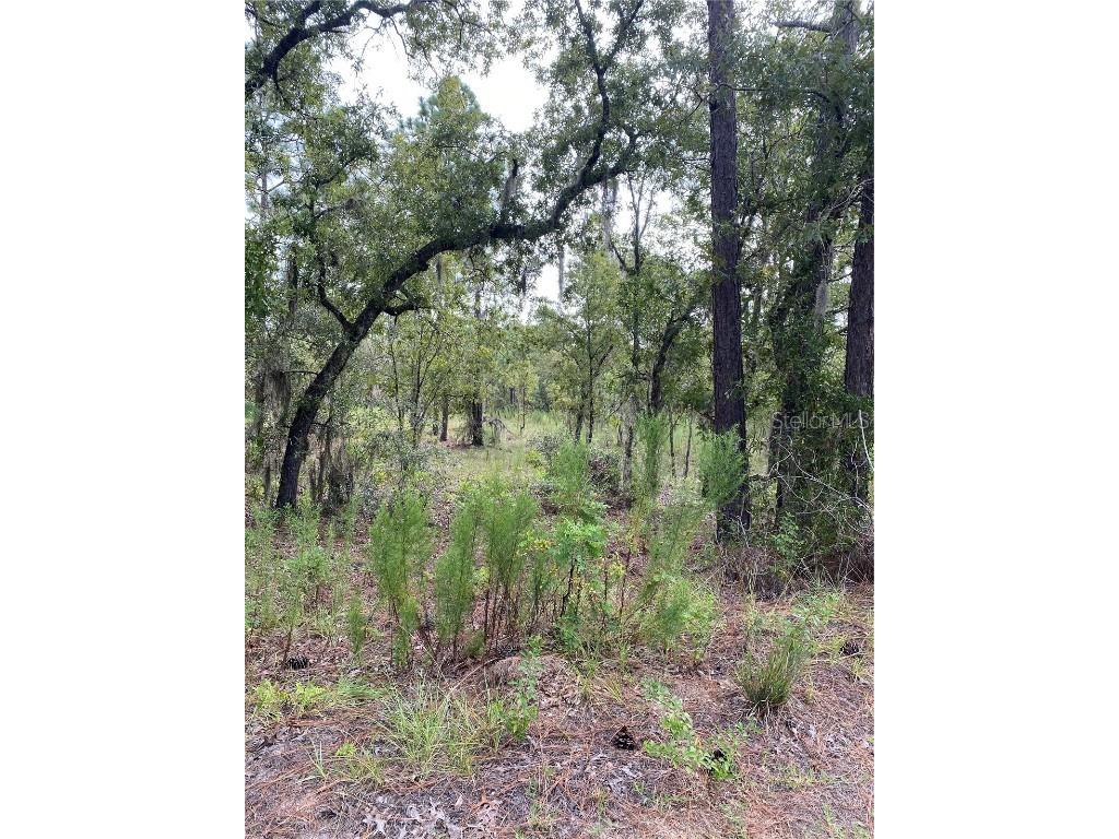 0000 SW 211th Circle Dunnellon FL 34431 - RAINBOW RIVER OM644499 image1