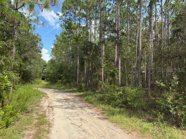 0000 SW 39th Street Dunnellon FL 34432 OM713670 image1