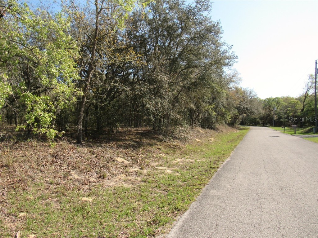 0000 SW 65 Loop Dunnellon FL 34432 OM654448 image1