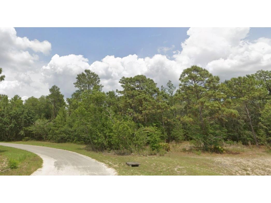 0000 SW 66th Avenue Ocala FL 34473 OM707820 image1