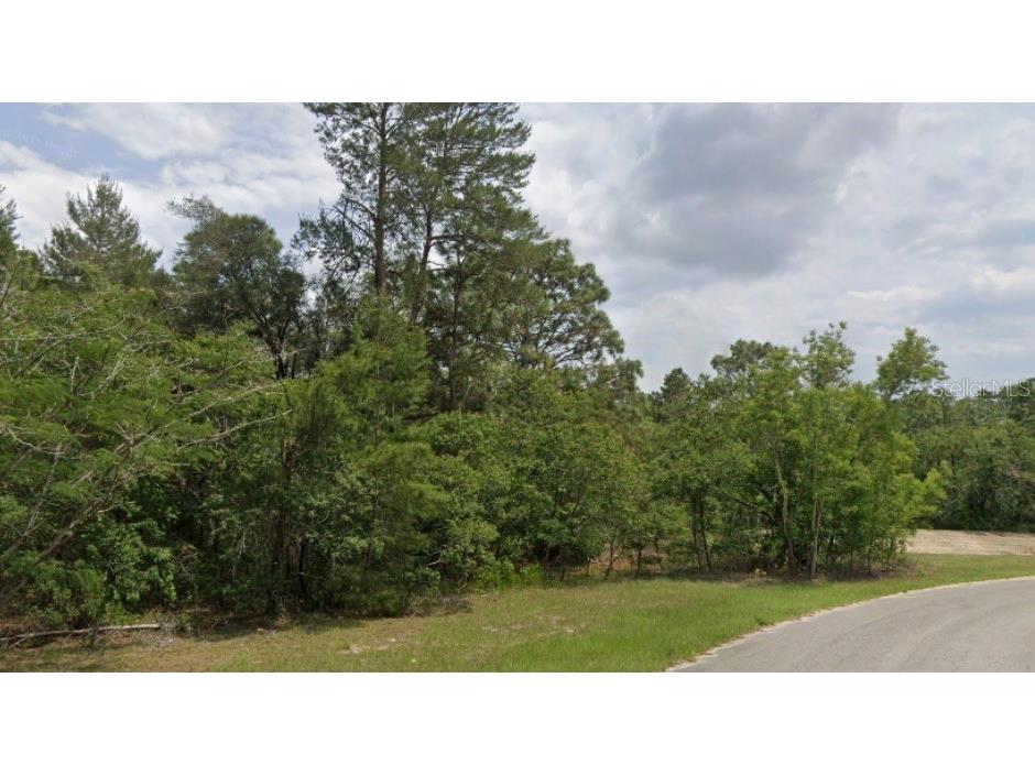 0000 SW 66th Avenue Ocala FL 34473 OM707820 image2