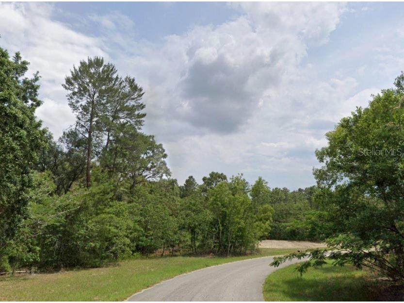 0000 SW 66th Avenue Ocala FL 34473 OM707820 image3