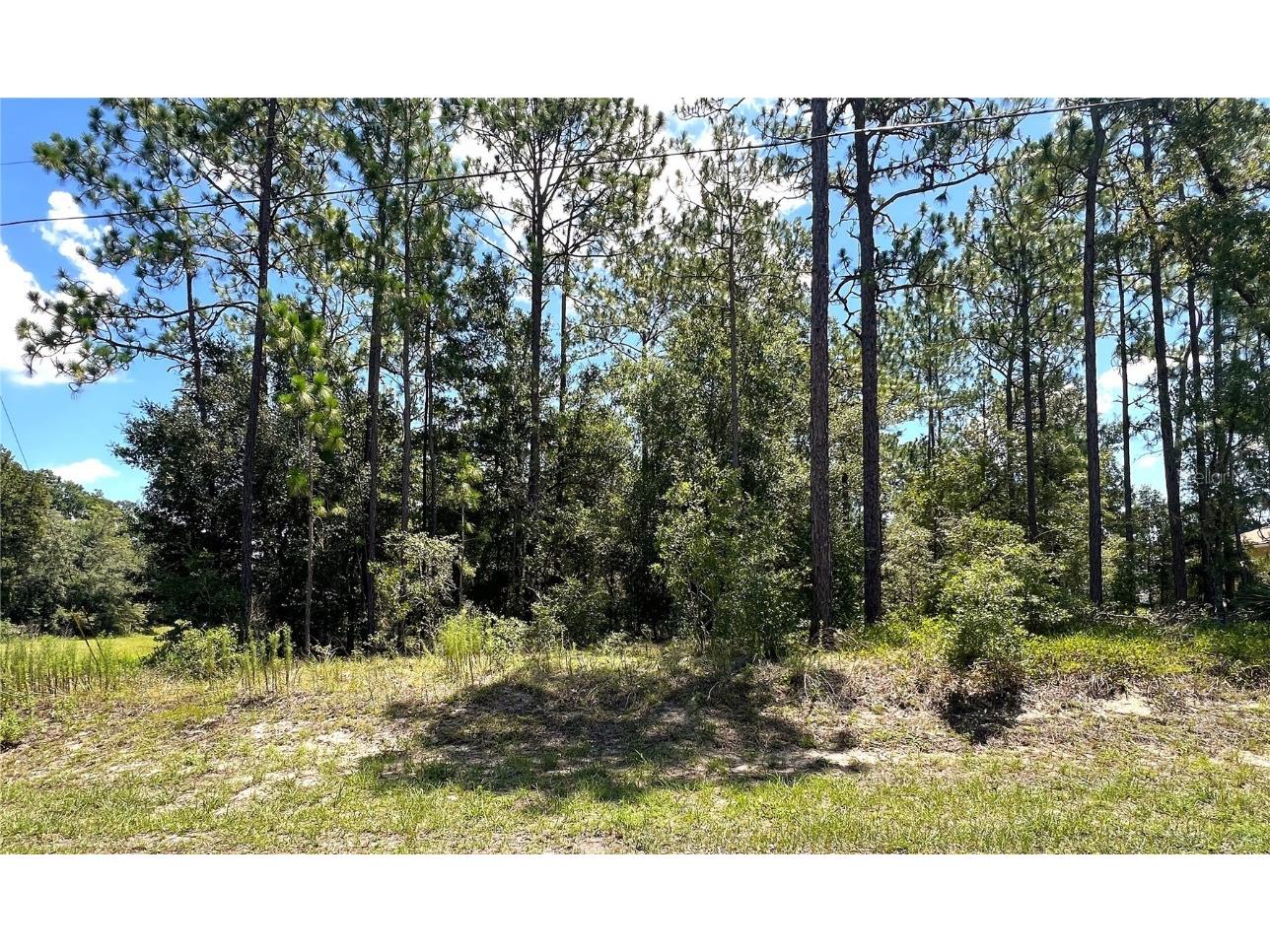 0000 SW 68 Loop Loop Dunnellon FL 34432 OM706484 image1