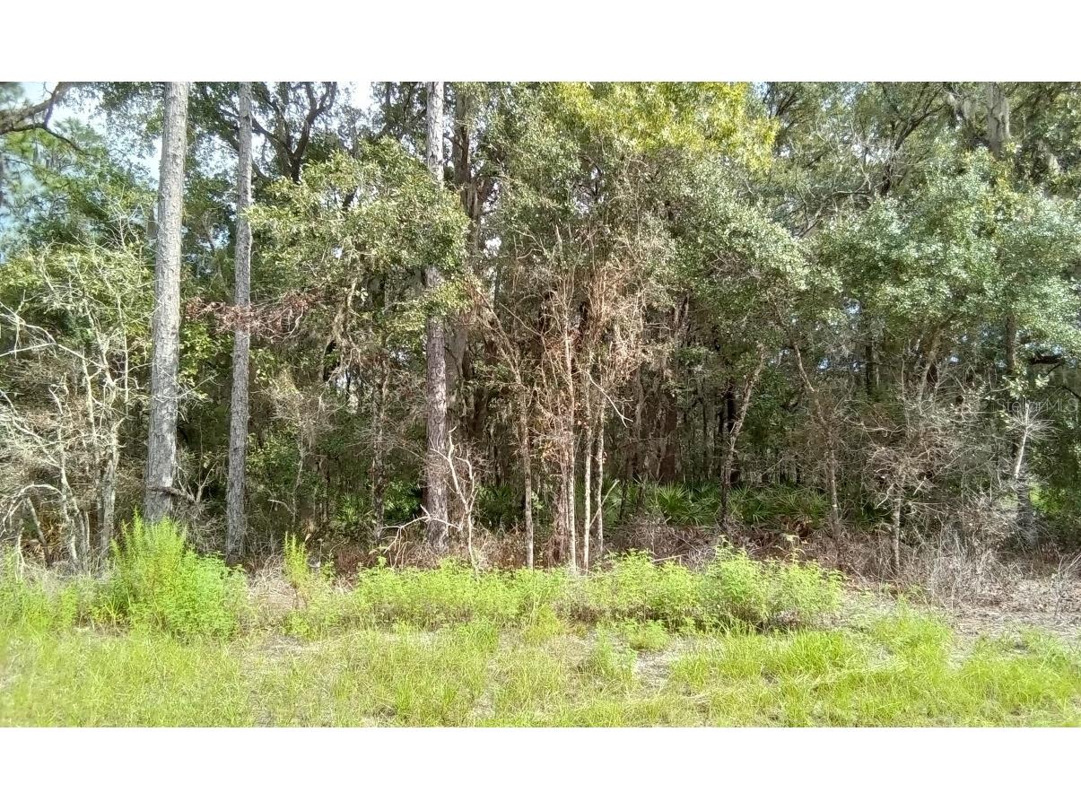 0000 Sw 77th Ave Road Ocala FL 34473 O6151268 image1