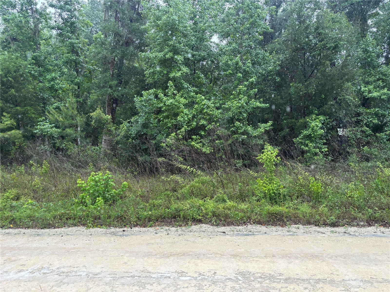 0000 SW 7th Lane Ocala FL 34481 OM725183 image1