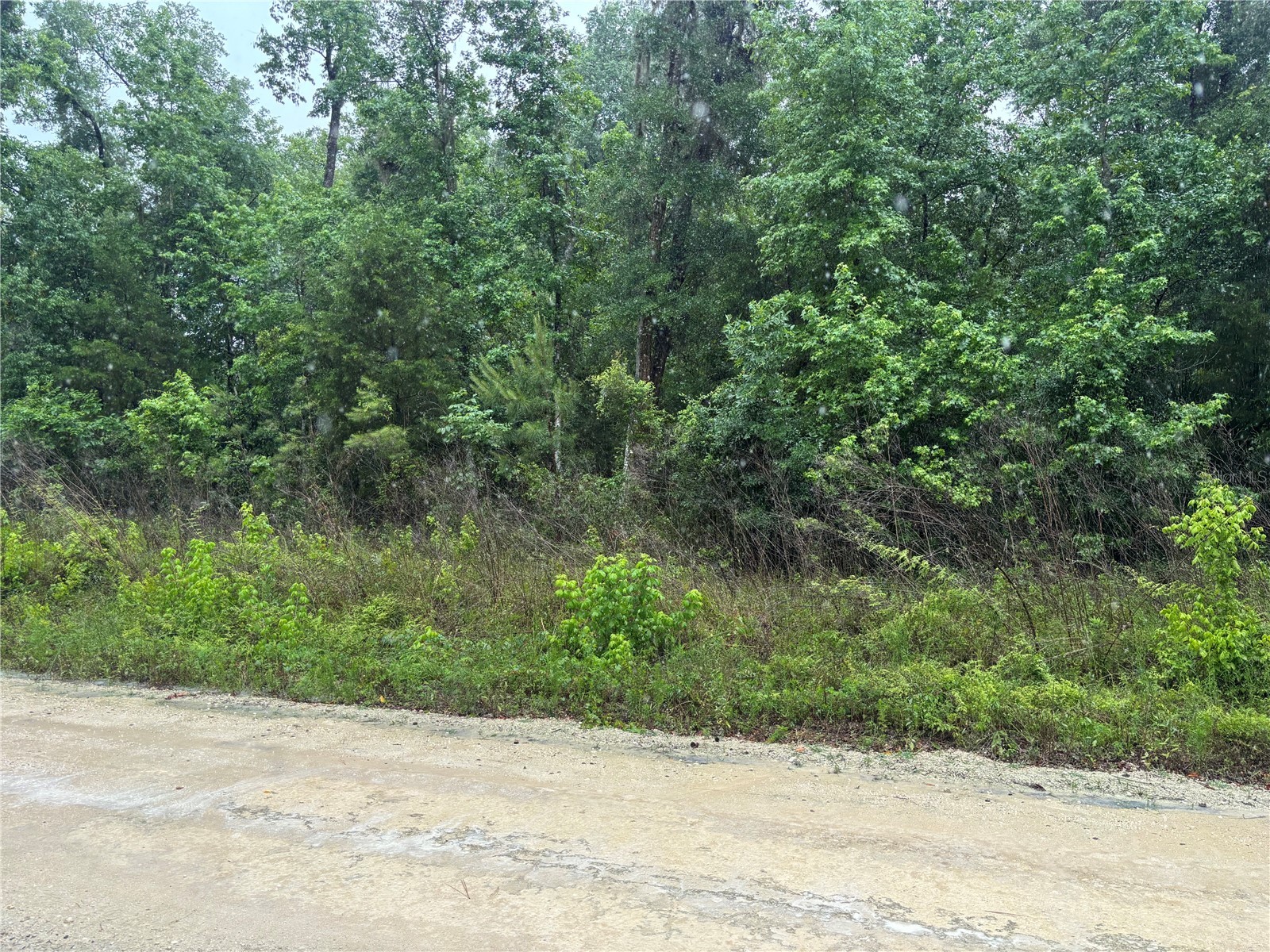 0000 SW 7th Lane Ocala FL 34481 OM725183 image4