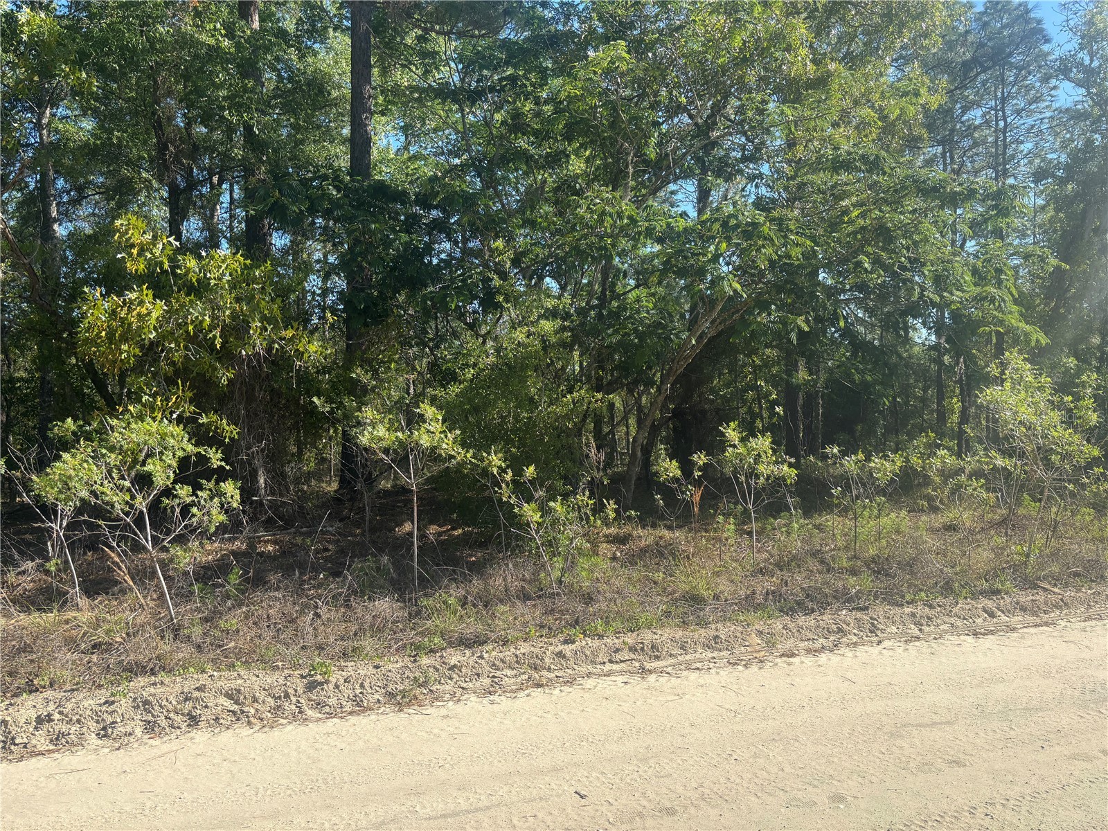 0000 SW 8th Place Ocala FL 34481 OM723020 image1