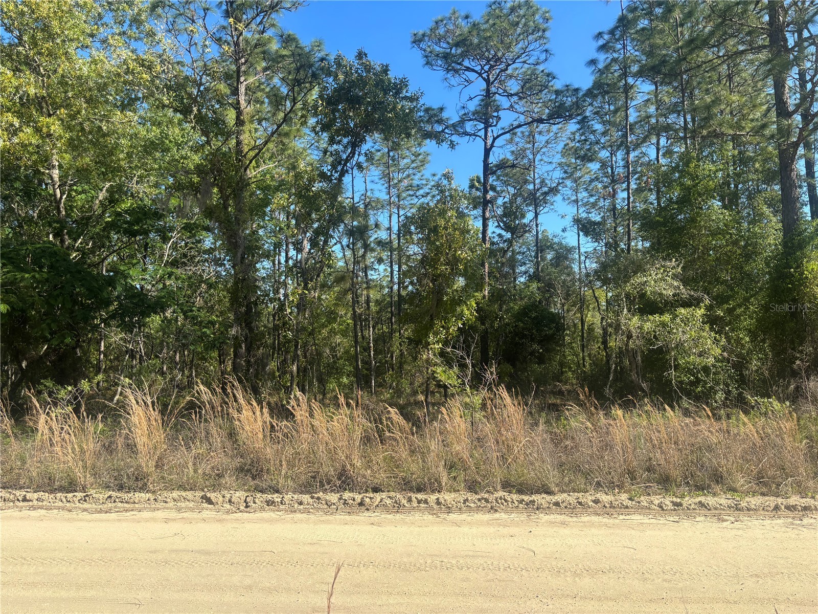 0000 SW 8th Place Ocala FL 34481 OM723020 image2