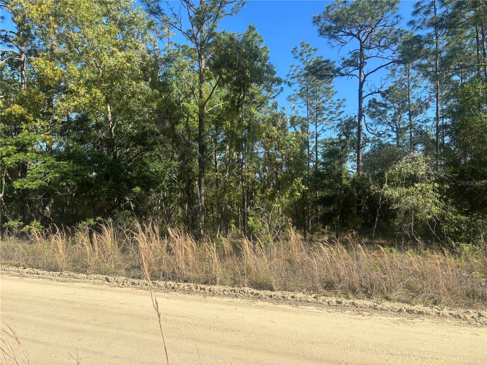 0000 SW 8th Place Ocala FL 34481 OM723020 image3
