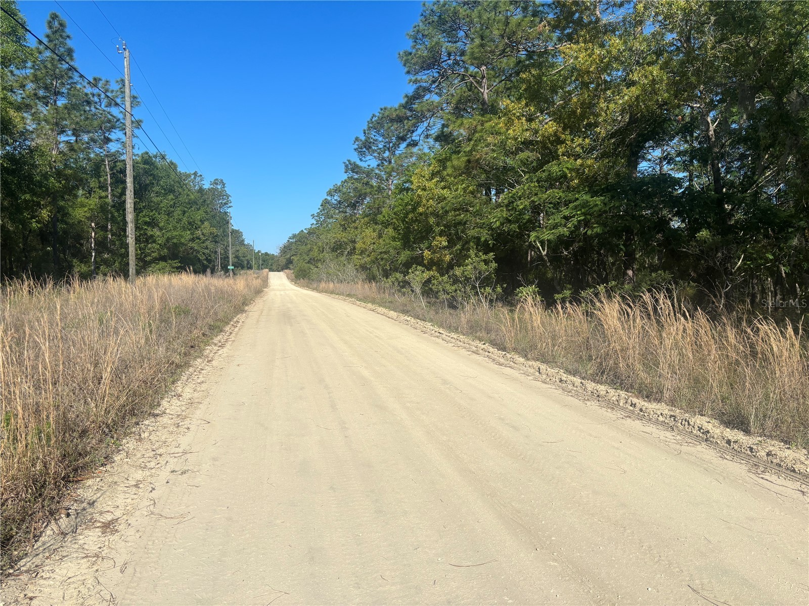 0000 SW 8th Place Ocala FL 34481 OM723020 image4