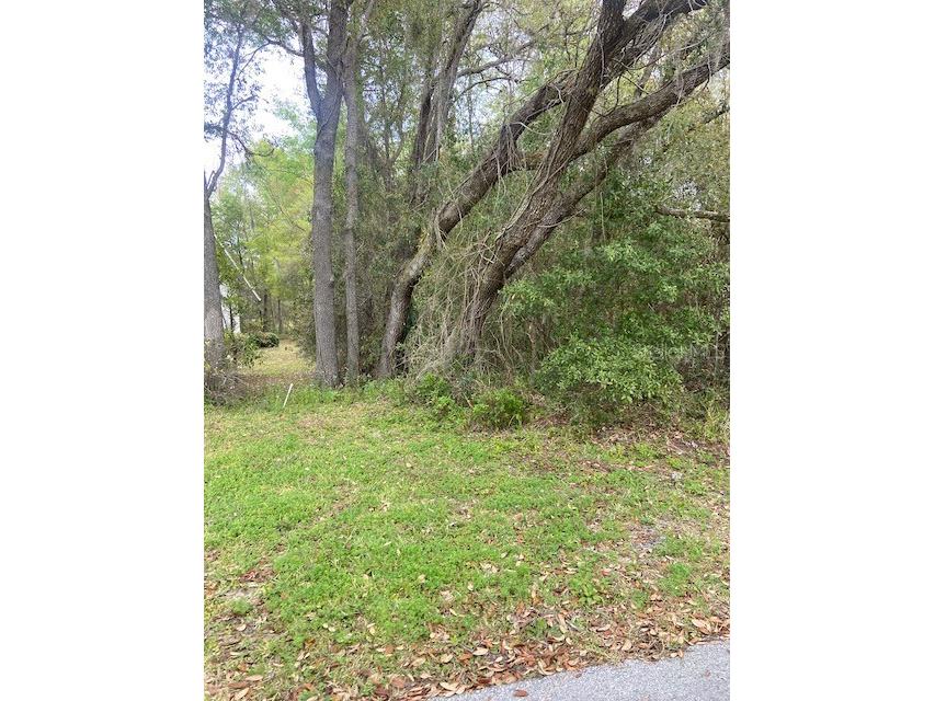 0000 SW 98th Place Road Dunnellon FL 34432 FC300519 image1