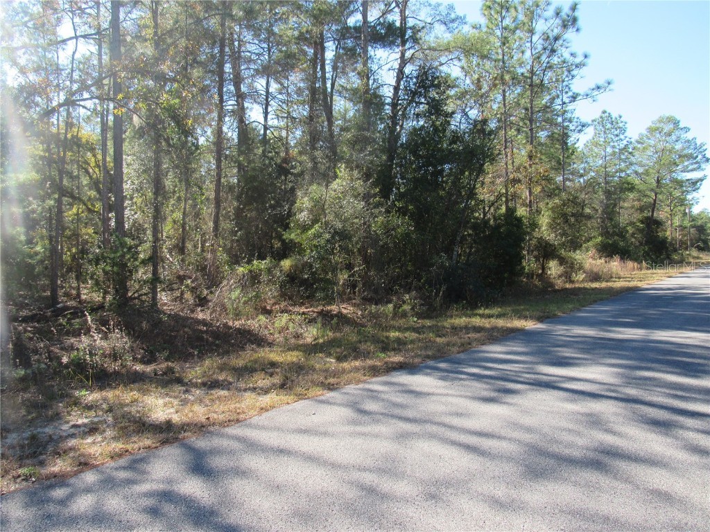 0000 SW Beaver Drive Dunnellon FL 34431 OM706868 image2