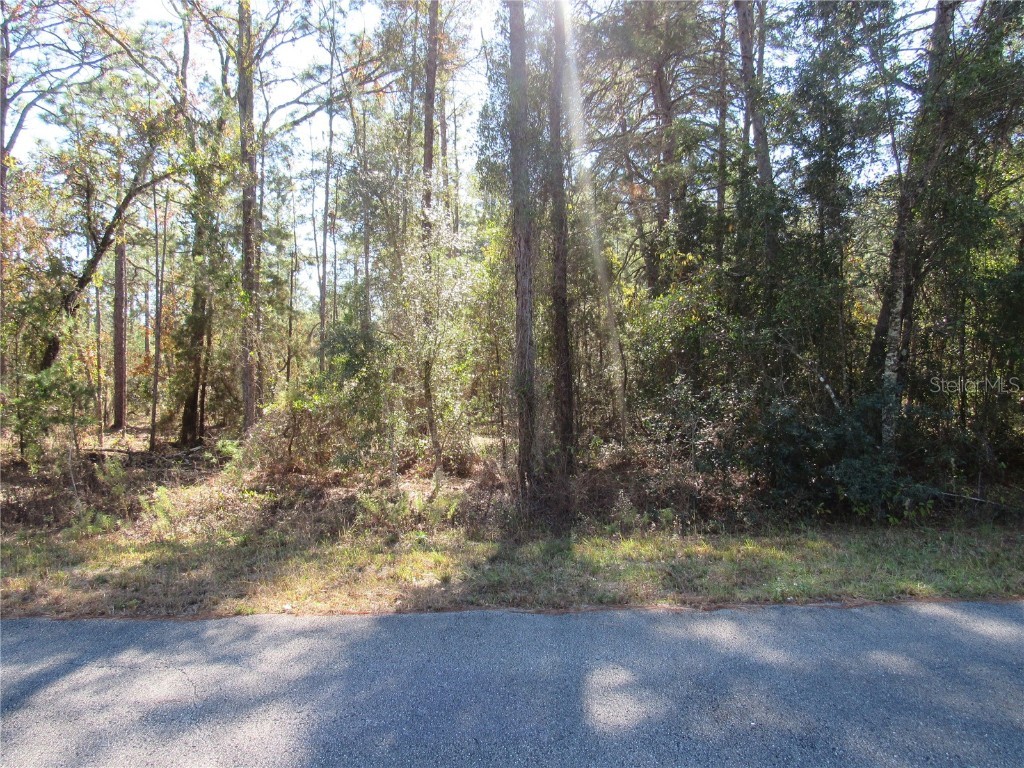 0000 SW Beaver Drive Dunnellon FL 34431 OM706868 image3