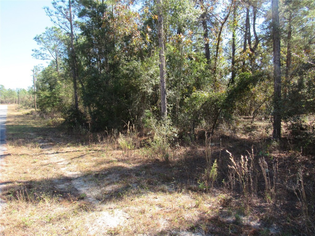 0000 SW Beaver Drive Dunnellon FL 34431 OM706868 image4