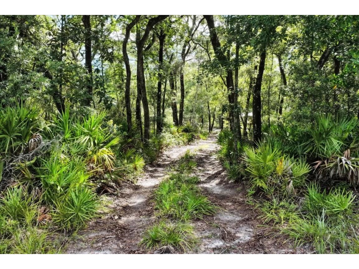 0000 SW County Road 347 Chiefland FL 32626 OM705766 image1