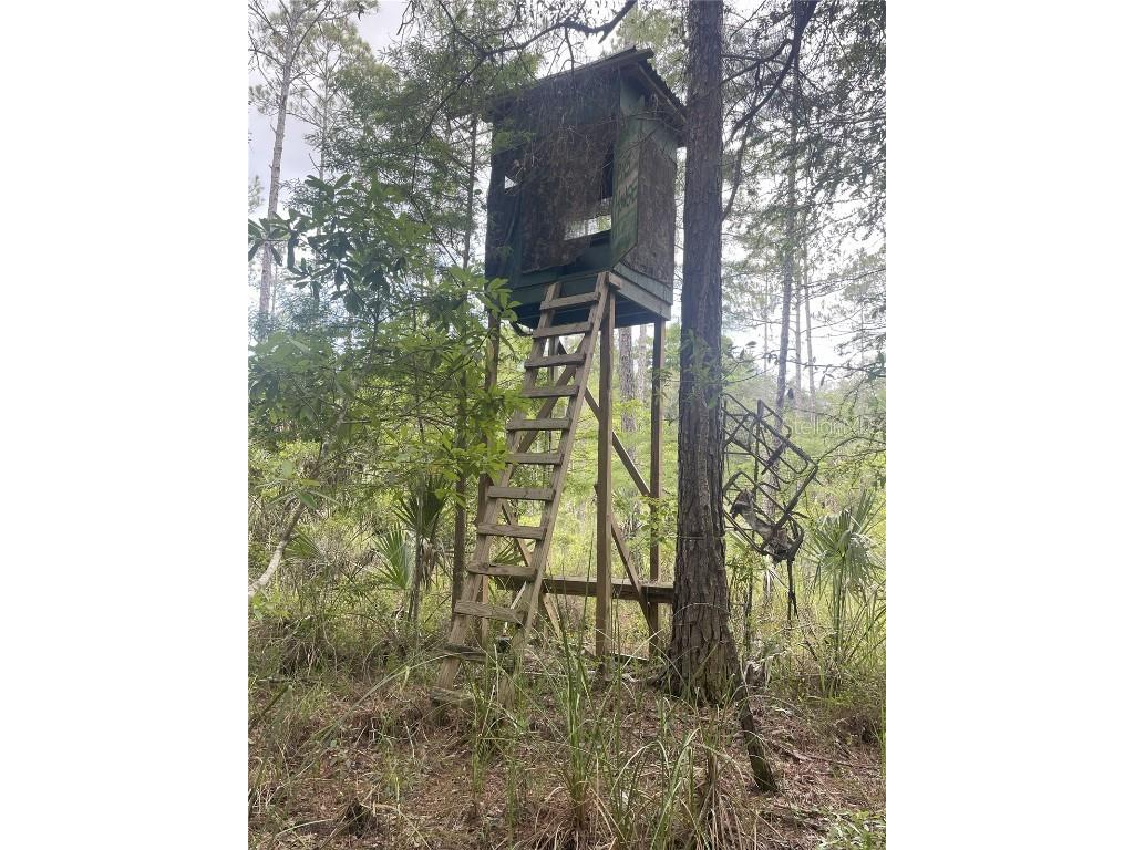 0000 SW County Road 347 Chiefland FL 32626 OM705766 image11