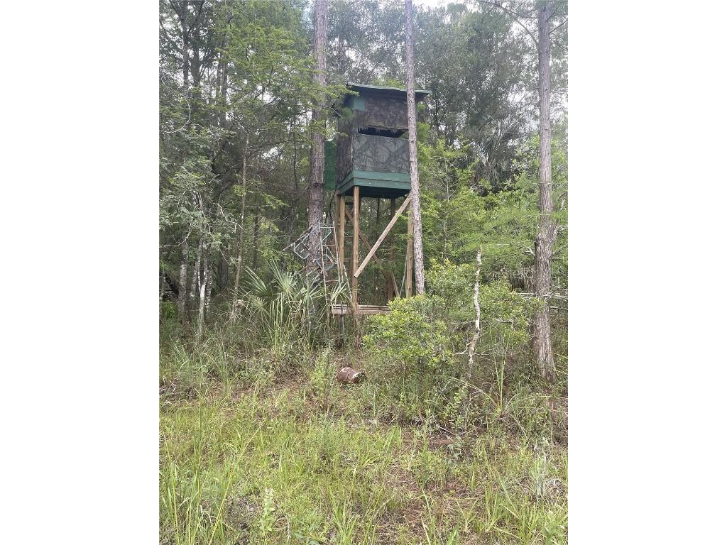 0000 SW County Road 347 Chiefland FL 32626 OM705766 image13