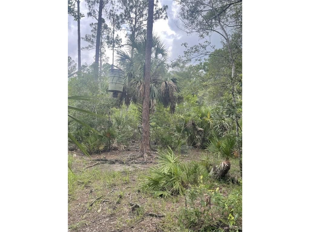 0000 SW County Road 347 Chiefland FL 32626 OM705766 image14