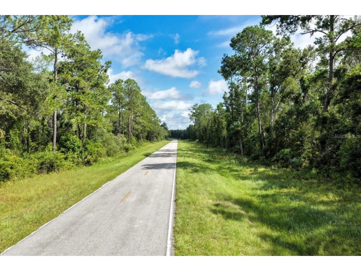 0000 SW County Road 347 Chiefland FL 32626 OM705766 image18