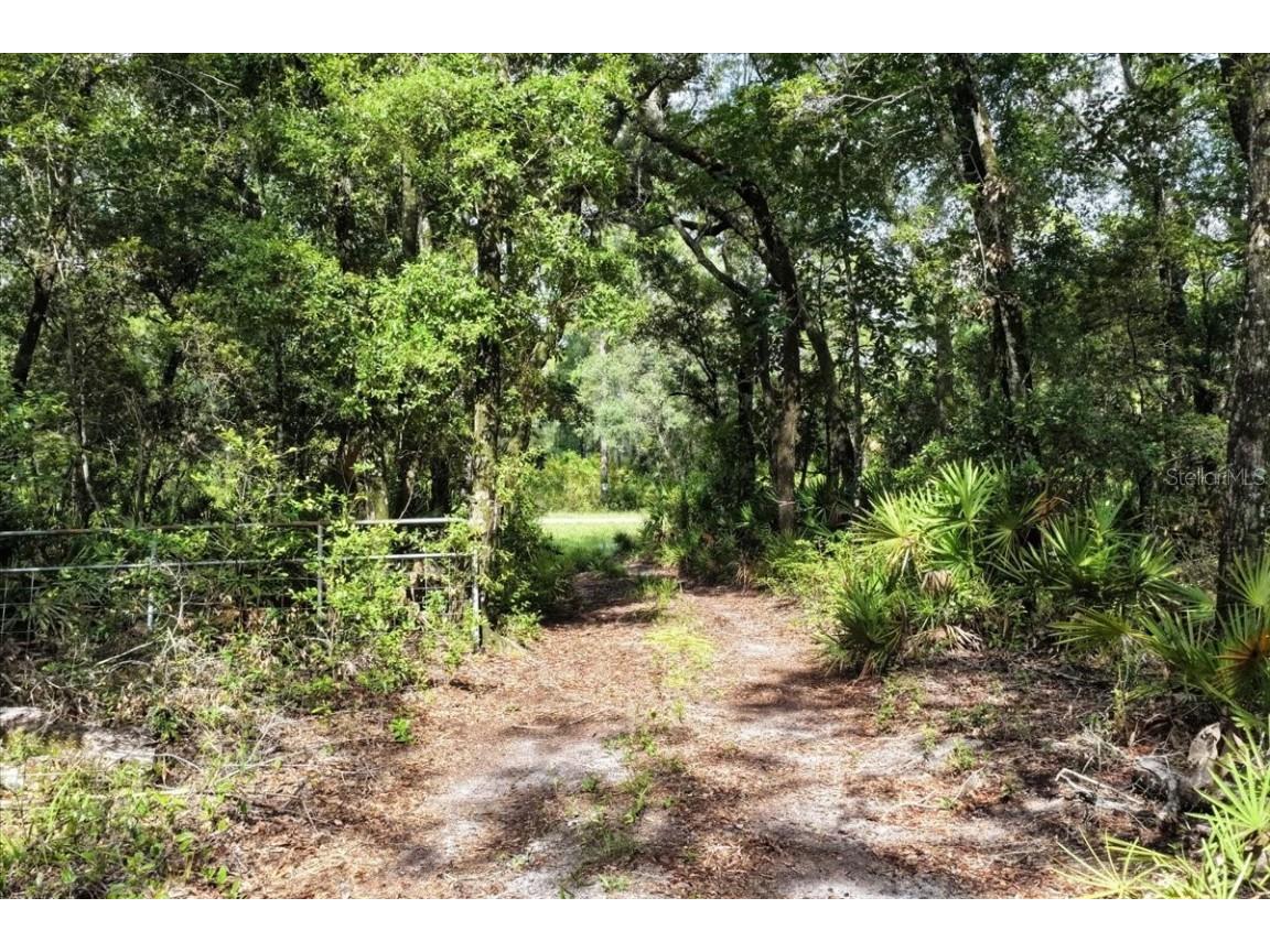 0000 SW County Road 347 Chiefland FL 32626 OM705766 image2