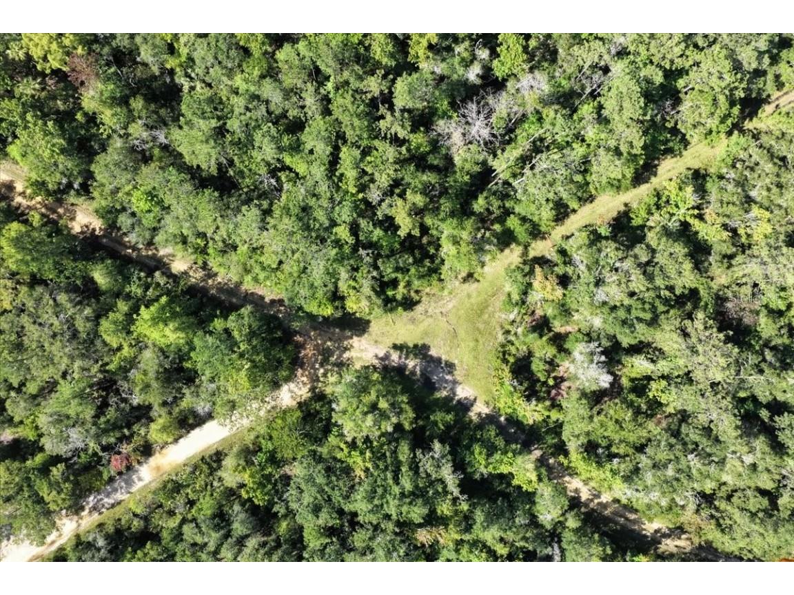 0000 SW County Road 347 Chiefland FL 32626 OM705766 image20
