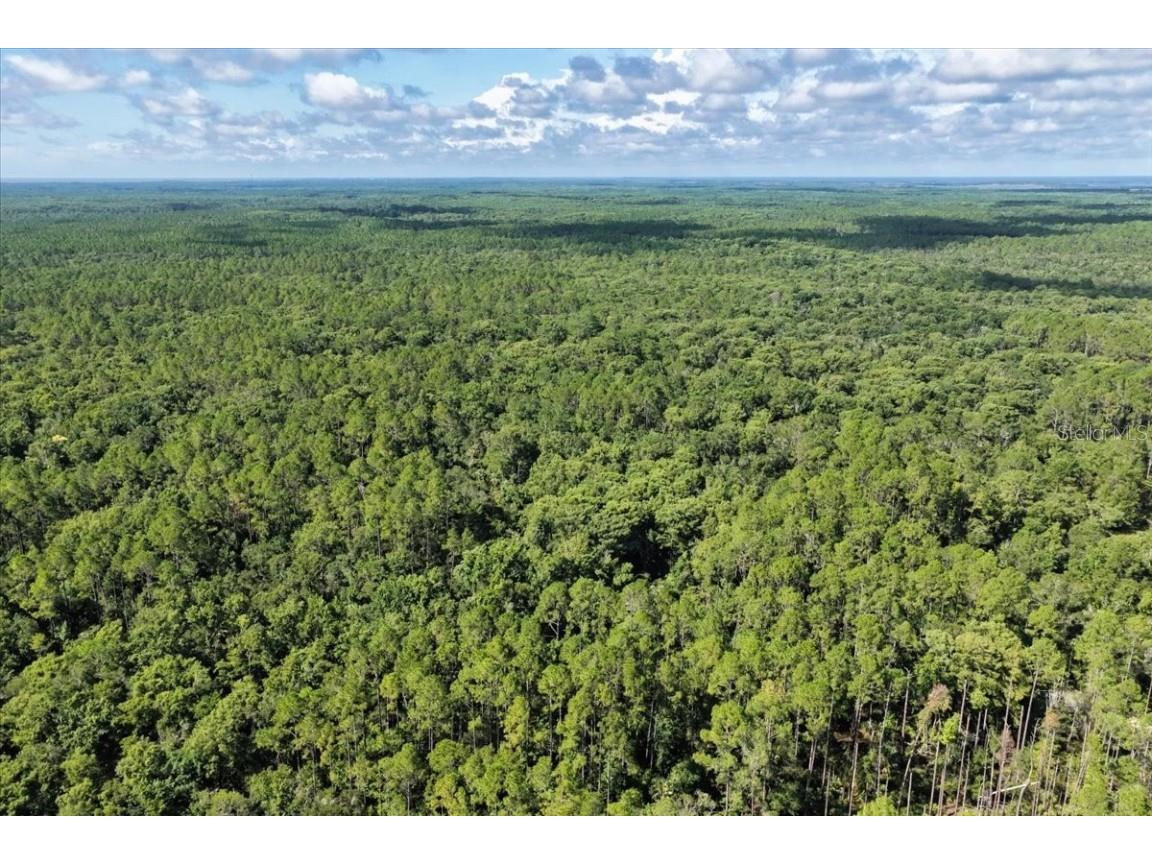 0000 SW County Road 347 Chiefland FL 32626 OM705766 image21