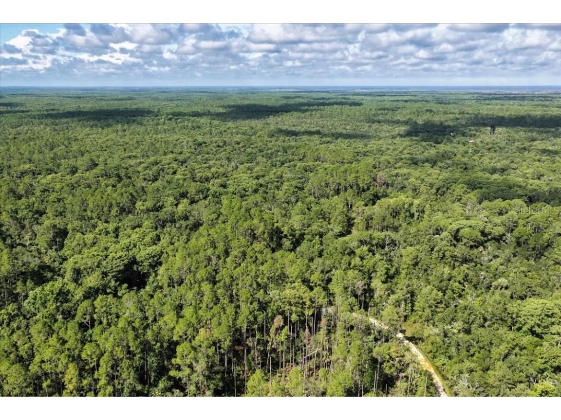 0000 SW County Road 347 Chiefland FL 32626 OM705766 image22