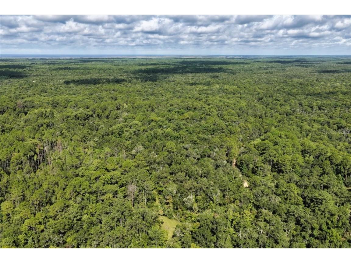 0000 SW County Road 347 Chiefland FL 32626 OM705766 image23