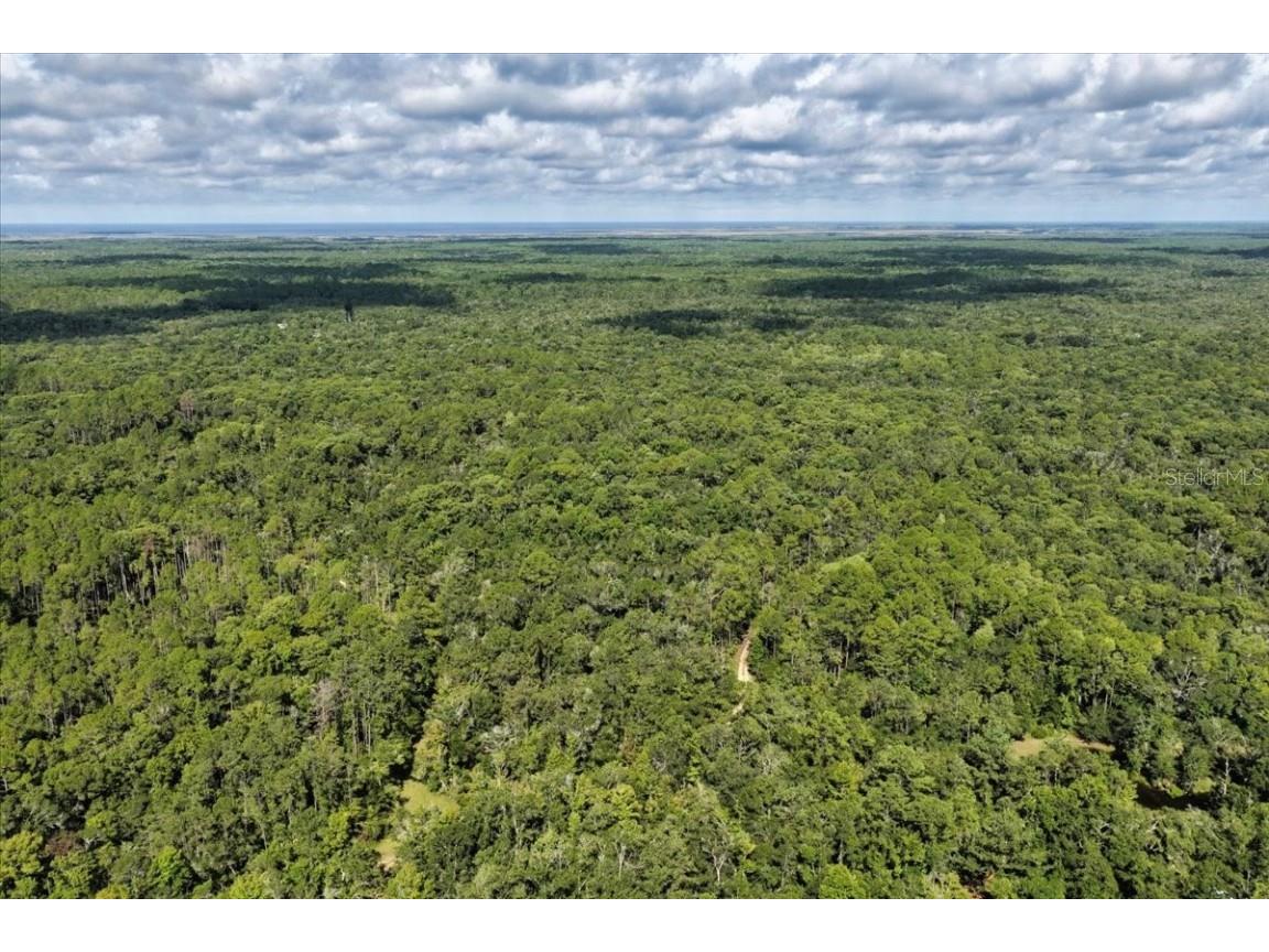 0000 SW County Road 347 Chiefland FL 32626 OM705766 image24