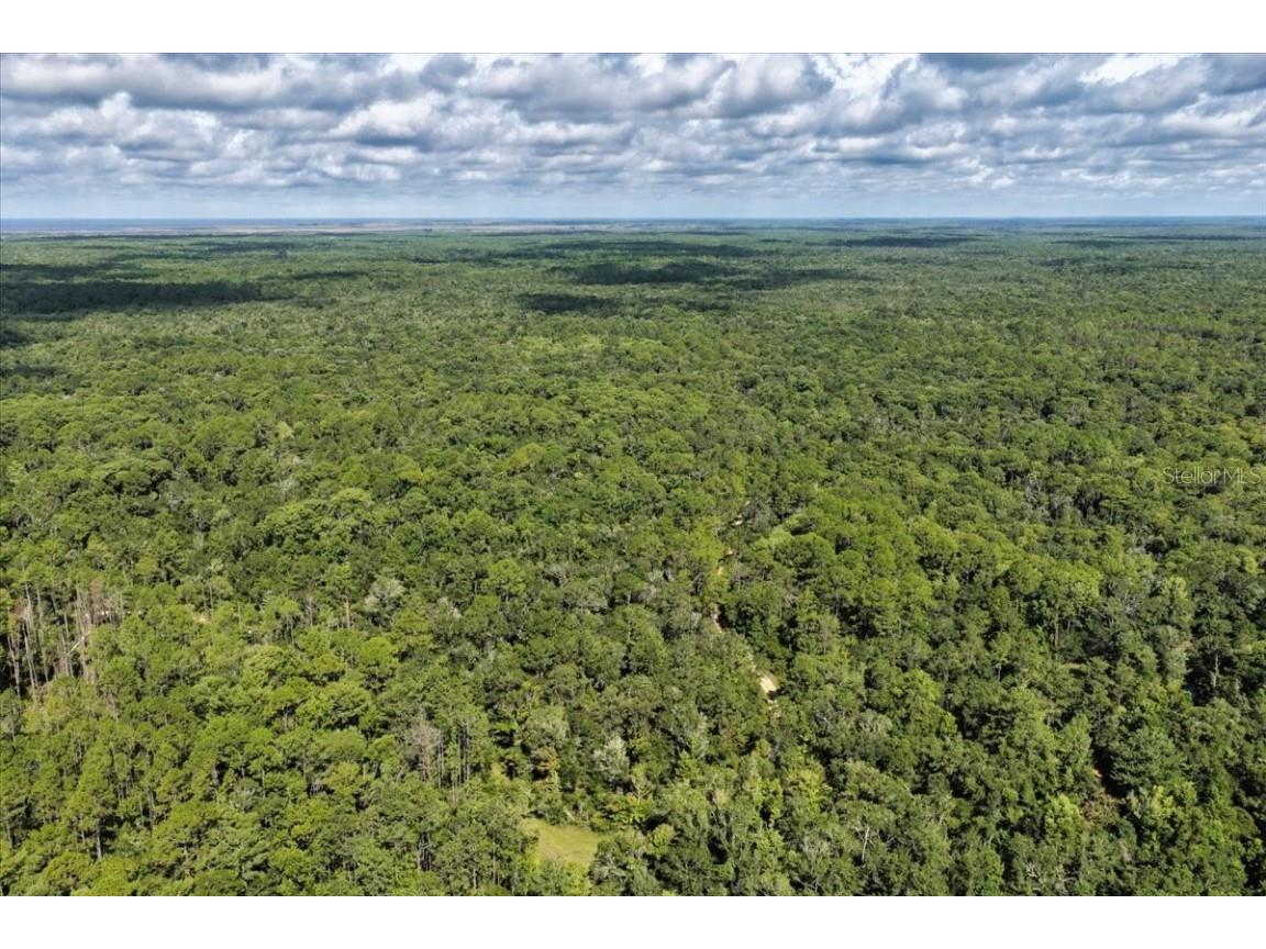0000 SW County Road 347 Chiefland FL 32626 OM705766 image25
