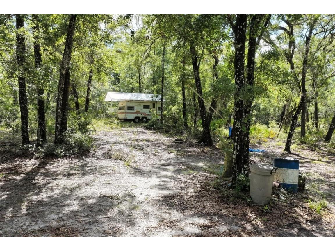 0000 SW County Road 347 Chiefland FL 32626 OM705766 image3