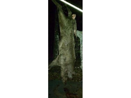 0000 SW County Road 347 Chiefland FL 32626 OM705766 image31