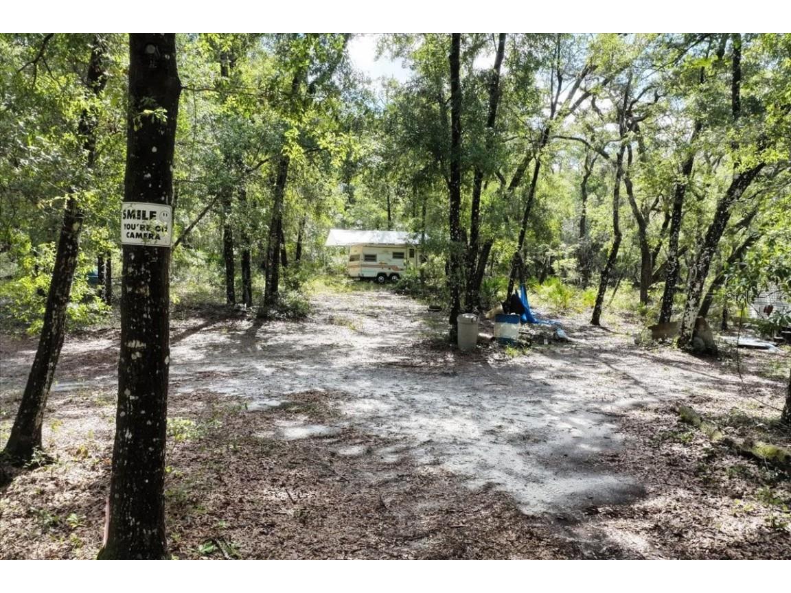 0000 SW County Road 347 Chiefland FL 32626 OM705766 image4
