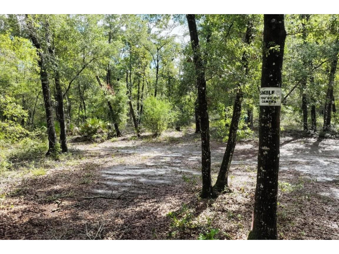 0000 SW County Road 347 Chiefland FL 32626 OM705766 image5