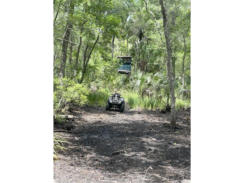 0000 SW County Road 347 Chiefland FL 32626 OM705766 image7