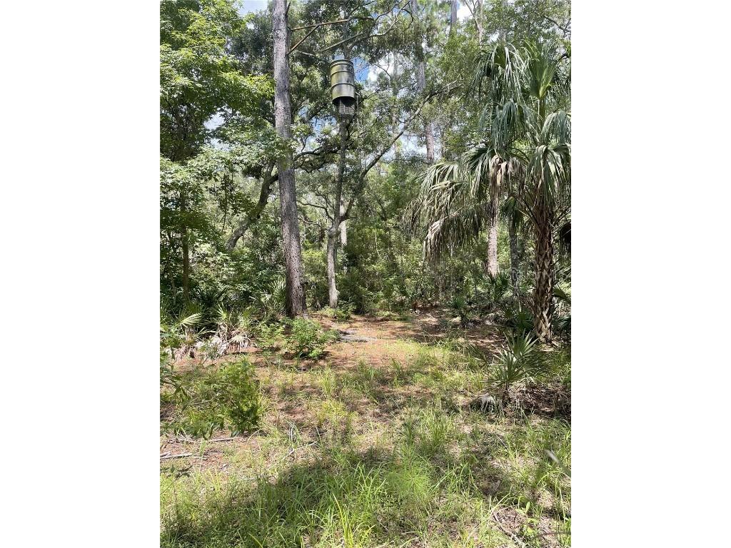 0000 SW County Road 347 Chiefland FL 32626 OM705766 image8