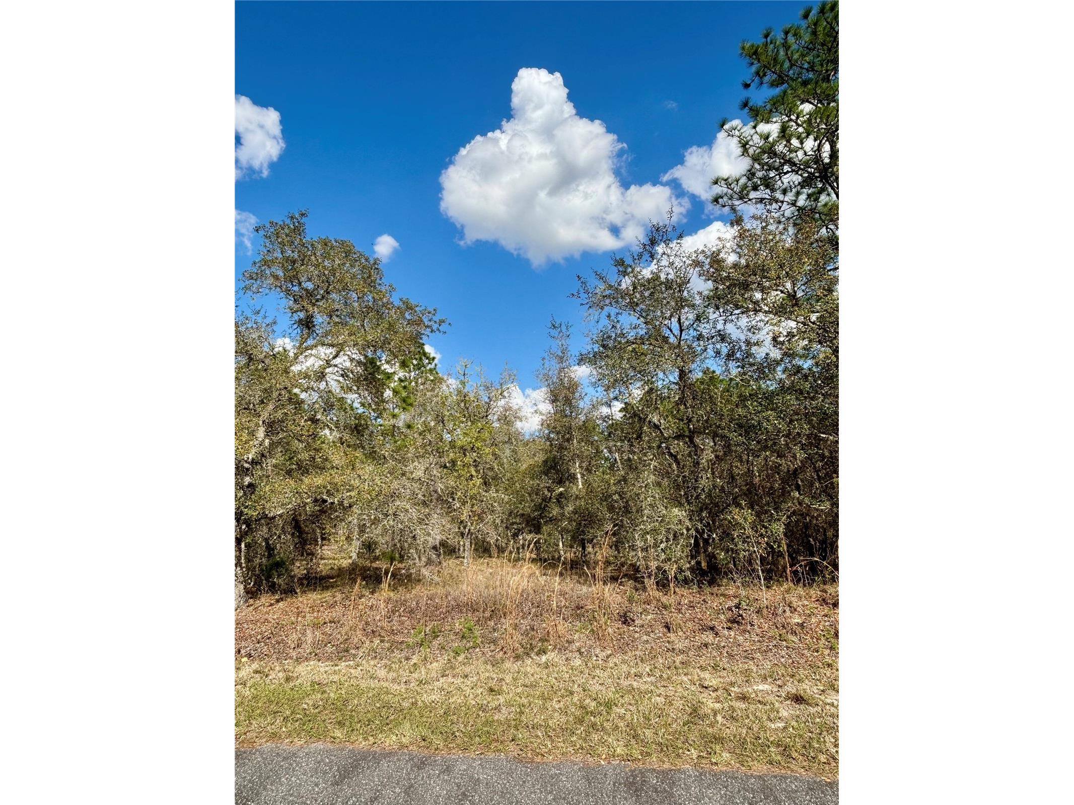 0000 SW Hillcrest Avenue Dunnellon FL 34431 OM721567 image2