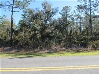 0000 SW Ivy Place Dunnellon FL 34431 OM680616 image1