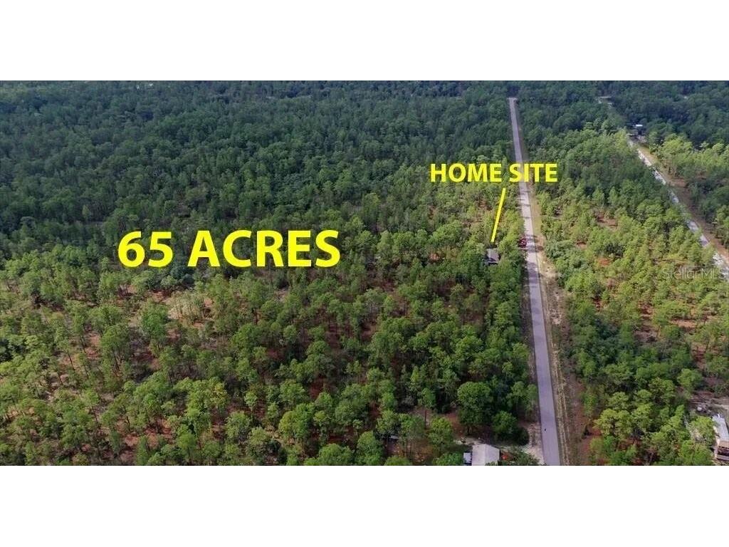 0000 SW Obee Ridge Road Dunnellon FL 34431 OM659502 image1