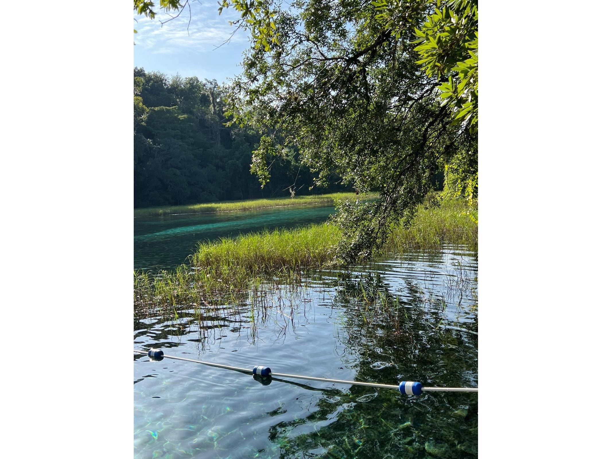 0000 SW Rainelle Road Dunnellon FL 34431 OM721548 image12