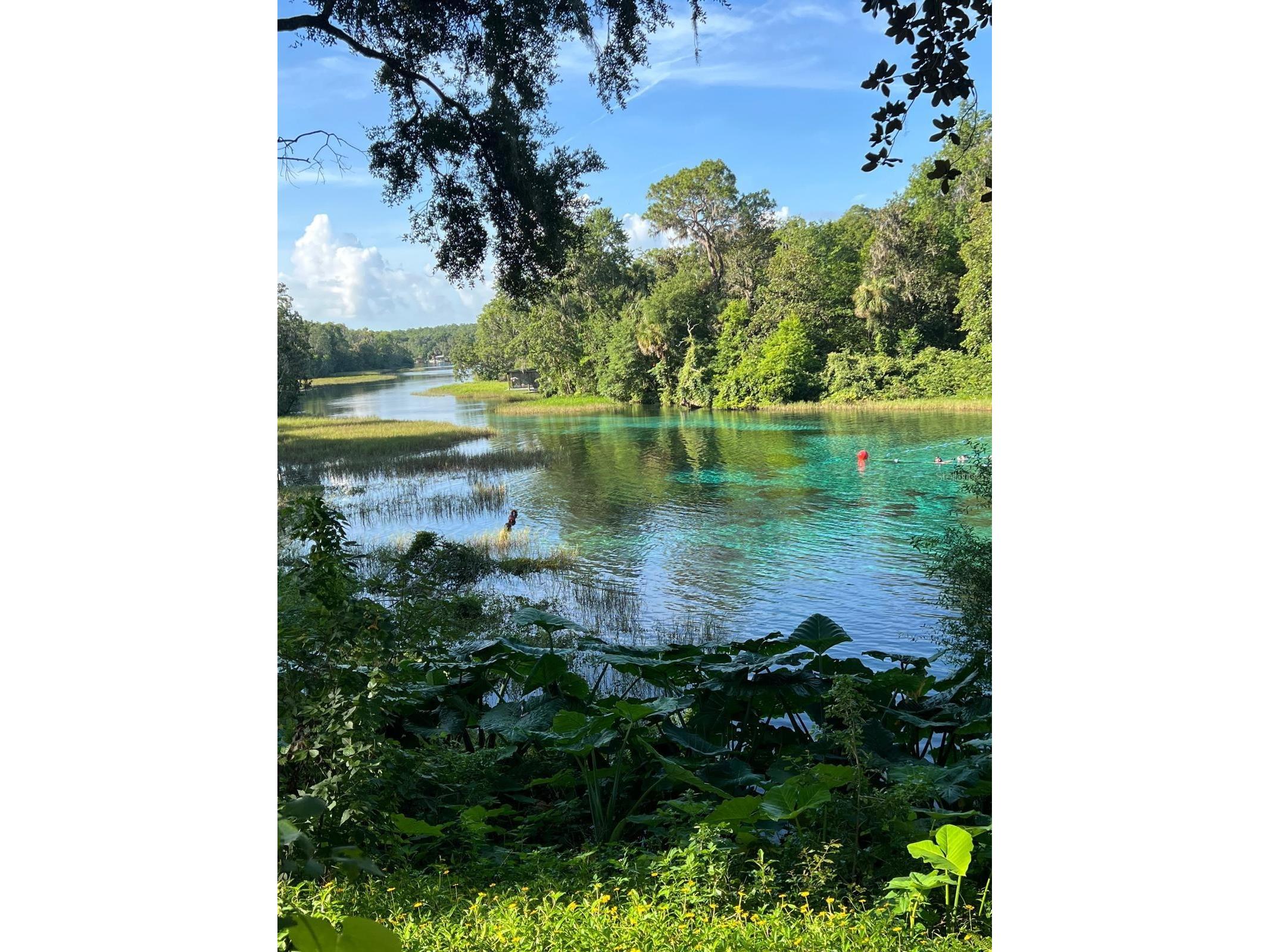 0000 SW Rainelle Road Dunnellon FL 34431 OM721548 image13